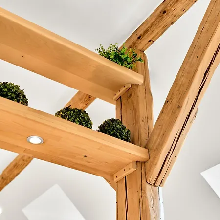 Karlstadt Apartment Karlovy Vary
