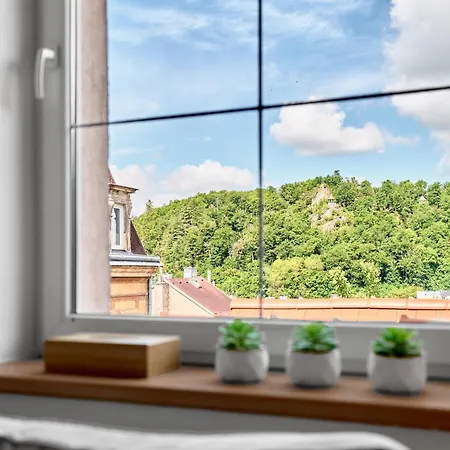 Karlstadt Apartment Karlovy Vary